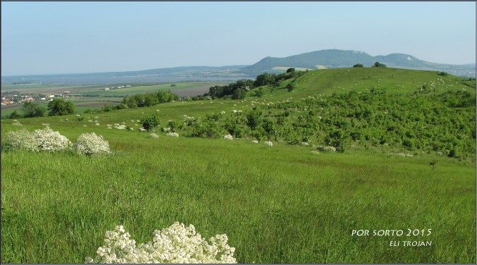 Ilja Trojan, South Moravia, Czech Republic