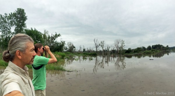 Ted MacRae & Chris Brown look out over a flooded wildlife refuge