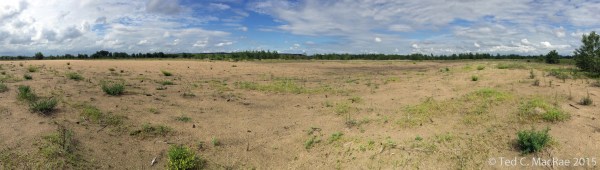 Sand plain deposited 2009