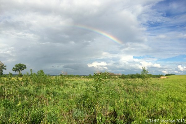 Rainbow over eagle's nest