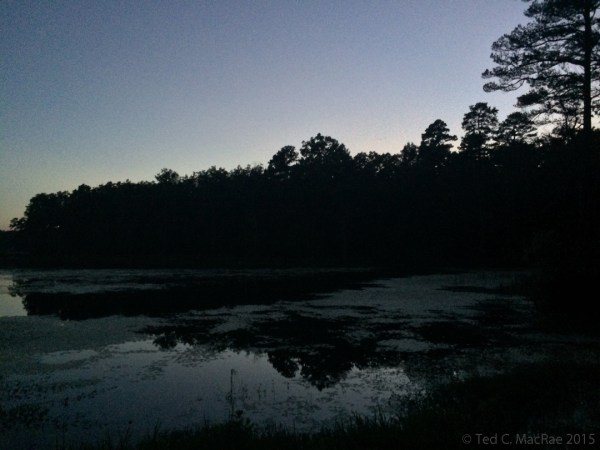 Pinewoods Lake at dusk