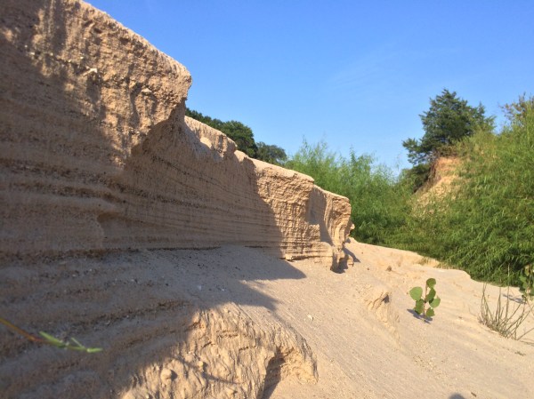 Sand bar along creek
