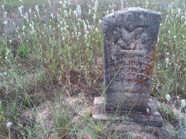 Died 1881 (age 1½ yrs)