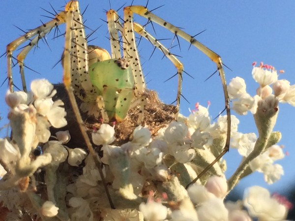 ???????????????????????????????????????????????????????????????????