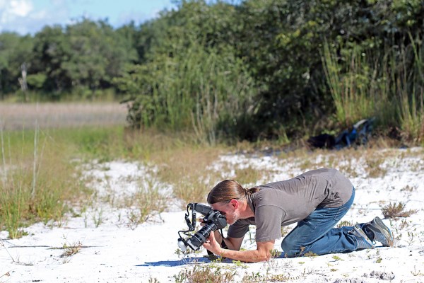 Chris Brown photographing Cicindelidia highlandensis