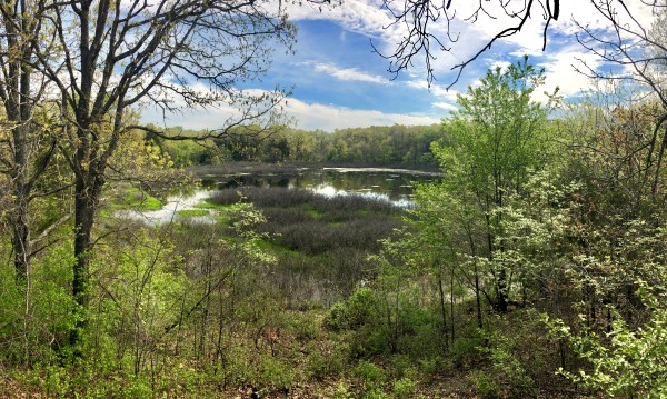 IMG_6208 (Edited).JPG